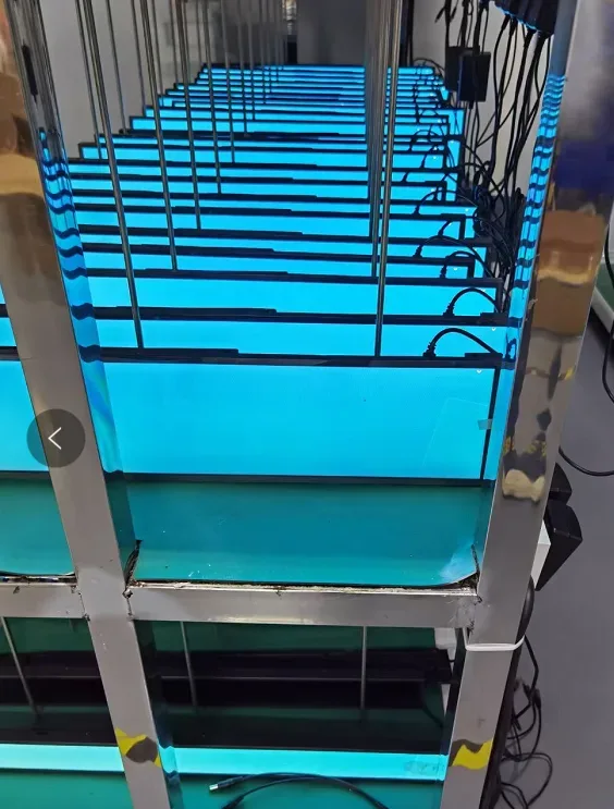 AplusLCD factory — LCD Burn-In Area
